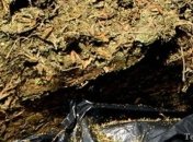 На Черниговщине осужденному передали чай с коноплей