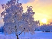 Прогноз погоды в Украине на сегодня: солнечно и ясно