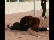 Собака "нарушила правила", повалив украинского футболиста (видео)