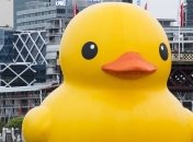 Желтый утенок открыл Сиднейский фестиваль