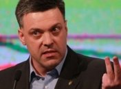 Тягнибок: Перед финишным ударом нам нужно перегруппироваться 