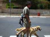 В итальянских поездах разрешили путешествовать с собаками