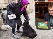 "Продай собаку - заплати за газ" год спустя: куда пропал "слуга народа" Брагар после конфуза на ТВ (фото, видео)