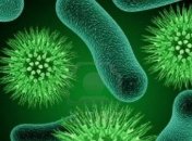 Ученые узнали, как бактерии вызывают дождь 