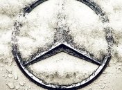 Mercedes устроил рождественский обед