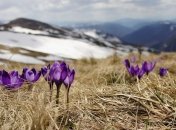 Прогноз погоды на 24 февраля: сохранится сухая и холодная погода