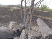 Пожежі в Чорнобильській зоні і на Житомирщині продовжуються