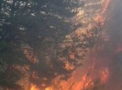 Полтавщина продолжает бороться с лесными пожарами