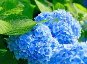 23 июля. Приметы дня