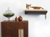 Идеи для дома: мебель для животных (ФОТО)