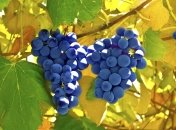 Луна в октябре 2015: подробный календарь благоприятных и неблагоприятных дней