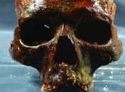 Археологи под водой обнаружили могилу со странными человеческими черепами