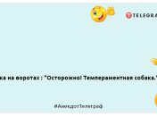 Любиш ночувати у мужика — люби й митися шампуньгелем 8 в 1: свіжі анекдоти для вашої посмішки