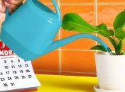 Для більшості рослин найгірше, що ви можете зробити, це переборщити з поливом