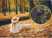 Теплі дні восени — як привіт літа, що минуло