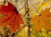 Погода 4 октября: холодно, местами дожди