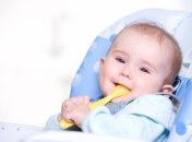Питание 9-месячного ребенка. Как правильно отлучить от груди