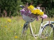 Какие завтра праздники: традиции и приметы на 8 июля