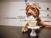 Привітання з іменинами Юрія 6 травня