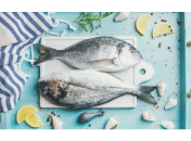 Блюда из рыбы: 6 вкусных рецептов для детей и взрослых