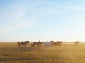 Минприроды поставило цель увеличить до 15% площадь заповедников