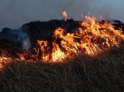 "Поджигатели вышли из спячки": масштабное выгорание сухой травы в Украине сняли на фото и видео