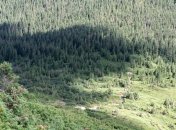 В Украине в воскресенье по-осеннему тепло: прогноз синоптиков