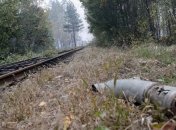 Арахамия продвигает создание ВСК по расследованию взрывов на складах