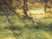 Погода готує сюрпризи: де в Україні пройдуть дощі