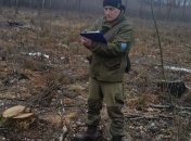 На Житомирщині лісгосп завдав збитків майже на 7,5 млн грн