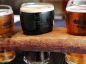 Во славу науки: ГМО-грибки могут быть использованы для создания новых сортов алкоголя