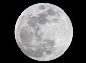 Китайцы планируют заполучить лунный грунт