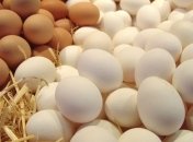 Что полезнее: белок или желток?