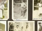 В Google можно будет сканировать фото за считанные секунды 