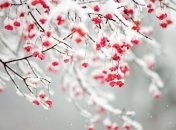 Знаменательные события в истории: 16 января 2017 года