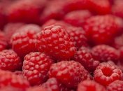 Узнайте, чем обработать малину, чтобы в ней не заводились черви