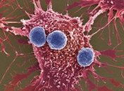 Вещества, которые способны "пробуждать" лимфоциты для борьбы с раком