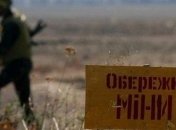Минобороны сообщило о количестве обезвреженных мин за время проведения АТО