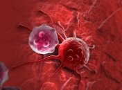 Раковые и стволовые клетки на равных способны образовывать опухоли