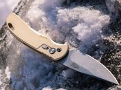 Зарізав кухонним ножем