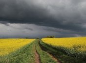 Грозовой циклон: в Украине прогнозируют сильные дожди, град и шквалы