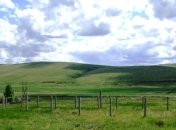 Погода в Украине 11 июля: переменная облачность, преимущественно без осадков