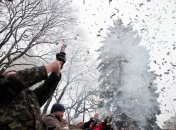 68 кг пиротехники изъяли в Севастополе