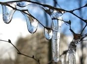 Погода в Украине 11 марта: пасмурно, местами дождь