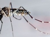  Лихорадка Западного Нила унесла жизни 134 американцев