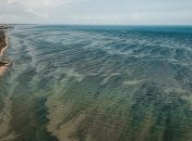 Из космоса показали, как "цветет" Черное море: какие курорты имеют самую грязную воду (Видео)