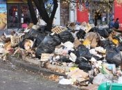 Зажрались: Около трети всех произведенных продуктов питания оказывается на помойке