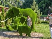 Потрясающие топиарные фигуры в парке "Зеленая планета" (Фото)