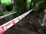 Родители забили до смерти свою дочь и обезглавили ее друга