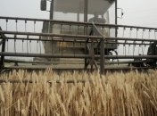 В Туркмении собрано 1 млн 200 тыс тонн зерна